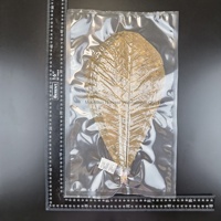 50 pièces/paquet, feuilles de Houba séchées, feuilles de Hoba séchées, pour la cuisine Kaiseki, les restaurants de sushis, les barbecues, les emballages alimentaires, la cuisson à la vapeur, l'emballage sous vide
