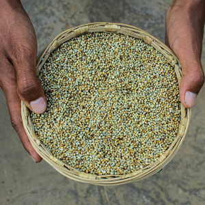 Farine de Bajra, matière première - Product Image 1