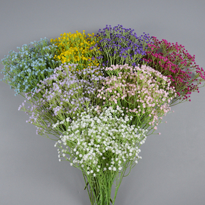 <span class=keywords><strong>Flores</strong></span> Artificiales <span class=keywords><strong>de</strong></span> Gypsophila <span class=keywords><strong>al</strong></span> <span class=keywords><strong>por</strong></span> <span class=keywords><strong>Mayor</strong></span>, Plástico, Tacto Real, para Decoración <span class=keywords><strong>de</strong></span> Bodas y Hogar - Product Image 6