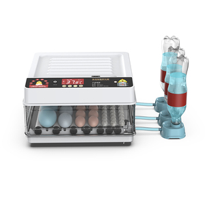 Máy Ấp Trứng Gà Tự Động Nhỏ <span class=keywords><strong>10</strong></span> Trứng Giá Xuất Xưởng Để Bán - Product Image 3