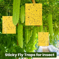 Piège à colle jaune pour jardin agricole, intérieur et extérieur, serres, piège à insectes volants
