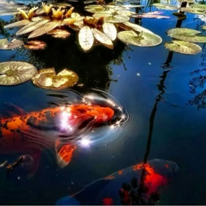 Runde Fischzuchtteichfolie Kunststoff-Wassertanks HDPE-Geomembran für Aquakultur - Product Image 4