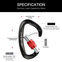 Mousqueton robuste en alliage d'aluminium léger, forme D, coloré, à verrouillage automatique, charge de rupture 25 kN, pour usage extérieur