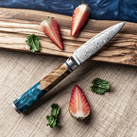 Nouveau design 3.5 pouces 67 couches en acier damas Chef couteau d'office couteaux couteau à éplucher les fruits avec résine et manche en bois massif