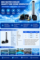 Kit modul ozon kuarsa AC 80g/jam pelepasan permukaan Internal untuk penghilang bau Gas limbah