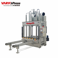 Presse à froid pour porte en bois multicouche 80T Machines à bois Vario Press MY904x9/8 Facile à utiliser Garantie 1 an