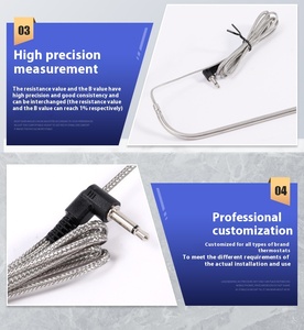 Aanpasbare <span class=keywords><strong>PT1000</strong></span> temperatuurregeling vlees- en voedselsonde pelletoven smoker OEM/ODM vervangende <span class=keywords><strong>RTD</strong></span> 0,15~0,3% nauwkeurigheid voedsel - Product Image 4