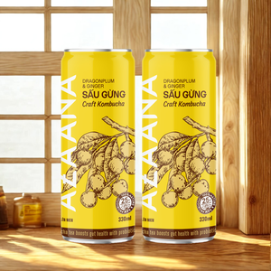 ชาผลไม้ขิงคอมบูชาแบบแห้งสไตล์เวียดนามบรรจุกล่องชาที่มีความสมดุลอย่างสมบูรณ์แบบมีรสชาติอร่อยได้รับการรับรองฮาลาล - Product Image 1