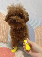 Chaussettes antidérapantes pour chiots, chaussettes mignonnes pour chiens de compagnie, chaussettes chaudes antidérapantes pour l'automne et l'hiver, protection des pattes pour chiens, accessoires pour chiens
