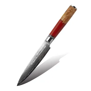 Dapur pisau kupas baja Damaskus pisau dapur pisau utilitas damask profesional