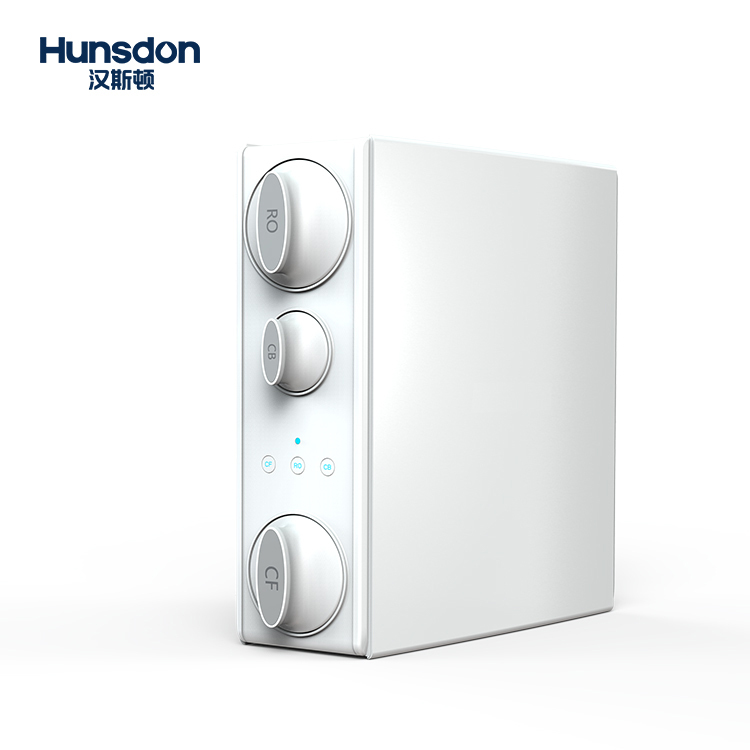 Large Water Purifier for Household Use