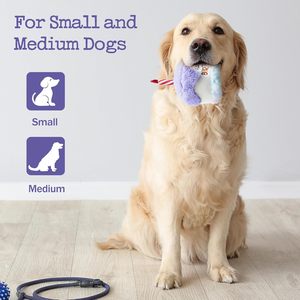 NIBAO <strong>Dog</strong> Happy Birthday Cake Toy with Crinkle, Stuffed Plush Puppy <strong>Present</strong> for Birthday Party, <strong>Dog</strong> Toy for Small Medium - Product Image 4
