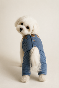 Tuta Imbottita per Cani con Cinghie Marroni, Abbigliamento Caldo a Quattro Zampe per Cani Piccoli, Maltesi, Teddy, Cappotto Invernale per Animali Domestici - Product Image 2