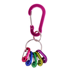 Ensemble de mini-boucles à ressort en alliage d'aluminium de type D, haute qualité, pour accessoires de sac, petites boucles colorées - Product Image 2