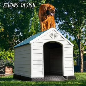 Caseta para Perros de Plástico Elevada, Impermeable, de Varios Tamaños, de Lujo, para Exteriores, con Puerta, Marca Pawise, Venta al por Mayor - Product Image 1