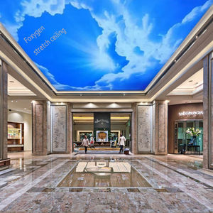 بيع بالجملة جديد سقف غشاء ناعم مع سماء زرقاء قماش سحب بيضاء - Product Image 3