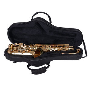Sac de Saxophone <span class=keywords><strong>Alto</strong></span> avec coque rigide, personnalisé, étui de rangement pour Saxophone - Product Image 2