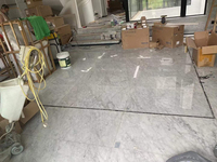 Carreaux de marbre de Carrare sur mesure 600x600mm, épaisseur 10mm, pour revêtement mural et sol, idéal pour la décoration de villas et les halls d'ascenseurs