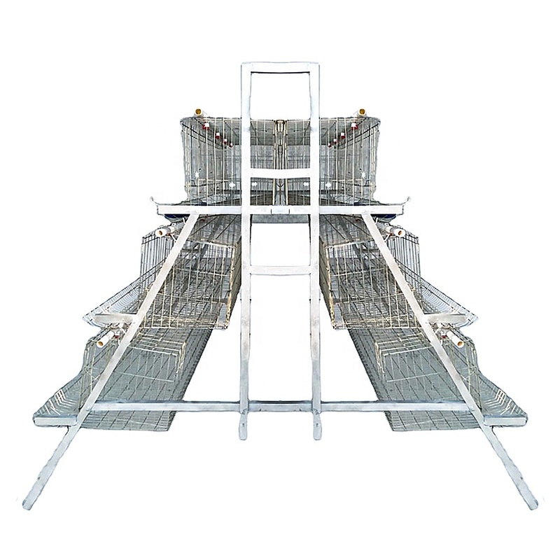 Cage Transport De Cailles Plastic Chicking