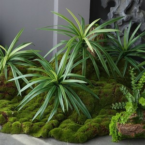Hojas Verdes Artificiales Ecológicas Personalizadas, Plantas de Aloe <span class=keywords><strong>Vera</strong></span> y Dracaena para Decoración del Hogar, Bodas, Navidad, Escaparates de Centros Comerciales - Product Image 5