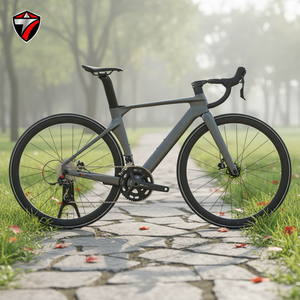 Vélo de route R10pro en fibre de carbone haute performance 700c, 22 vitesses, vélo de course coupe-vent, guidon intégré en aluminium, freins à disque hydrauliques - Product Image 5