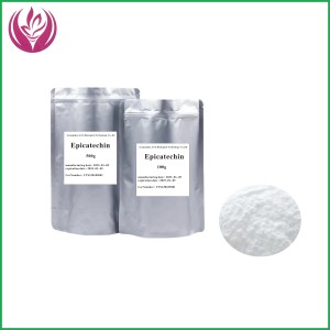 Top qualité cosmétique Grade EC 95% L-épicatéchine poudre blanche Haoze extrait de thé vert épicatéchine CAS490-46-0 - Product Image 3