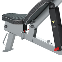 Banc de musculation multifonctionnel personnalisé en métal pour exercices abdominaux avec fonction de réglage du poids – Vente en gros