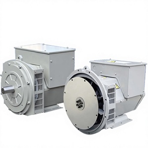 Alternateurs triphasés sans balais à courant alternatif 24 kW 30 kVA 6,5 kW 8 kW 10 kW 12 kW 15 kW 20 kW 30 kW 40 kW 50 kW 80 kW - Product Image 1