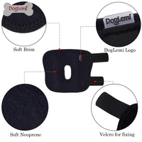 Attelle de guérison articulaire pour chien de compagnie pour la récupération des blessures Soutien et protection efficaces des jambes pour chien Chaussures et chaussettes essentielles pour animaux de compagnie