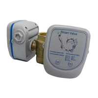 Vanne à boisseau sphérique électrique à distance Navarch LoRaWan avec interrupteur de débit pour contrôle de zone, irrigation intelligente, étanche IP68, haute température, OEM