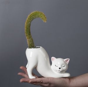Creativo lindo gato <span class=keywords><strong>de</strong></span> cerámica <span class=keywords><strong>cola</strong></span> columna maceta Animal <span class=keywords><strong>de</strong></span> dibujos animados suculenta mono <span class=keywords><strong>cola</strong></span> <span class=keywords><strong>Cactus</strong></span> maceta para vacaciones <span class=keywords><strong>de</strong></span> Navidad - Product Image 4