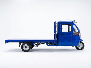 Tricycle agricole prêt à être expédié, grande autonomie de batterie, idéal pour le transport – Produits les plus vendus - Product Image 4