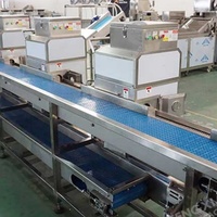 Ligne de traitement industrielle pour légumes en conserve (maïs, pois, etc.) : décorticage, blanchiment, lavage, déshydratation, emballage en acier inoxydable