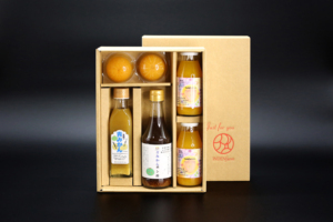 Wholesale Paper Packaging Diversity Gift <b>Set</b> Promotional Souvenirs For Mid-Year Occasions - Product Image 2