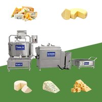 Presse à fromage industrielle pour cheddar, mozzarella, halloumi, petite machine de 500 litres, ligne de production de pressage et d'étirement du fromage