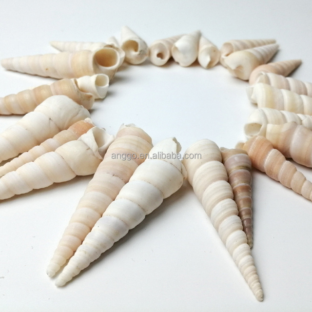 Small 4-7cm Natural Seashells Screw Conch Shells for DIY Crafts Home Decoration