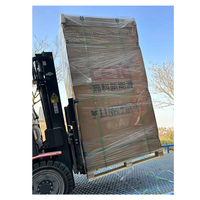 Panneau solaire photovoltaïque CETC à haute efficacité, demi-cellule bifaciale, double verre HJT 700W 710W