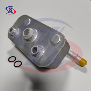 Enfriador de Aceite de Motor para BMWs E46 <span class=keywords><strong>1999</strong></span> - 2005 325i 328i 330i 17227505826 - Product Image 5