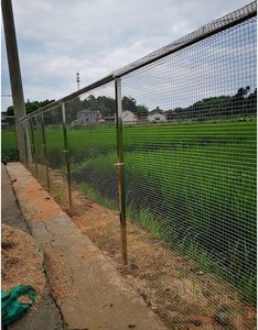 Factory Direct Supply Galvanized Iron Welded Wire Mesh Metal <b>Frame</b> P-1 Metal <b>Frame</b> Wire Mesh - Product Image 6