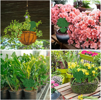 Pièges à colle pour insectes jaunes en forme mignonne, double face, non toxiques, imperméables pour jardin, cuisine, plantes d'intérieur