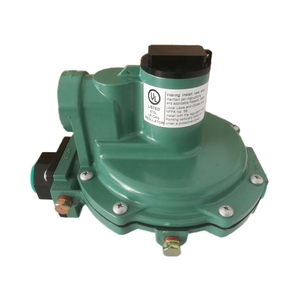 3/4 इंच धागा अंत R622-DFG एलपीजी गैस नियामक - Product Image 2