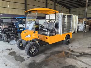 Voiture de golf électrique au prix le plus bas voiture de golf 4 places mini voiture de golf essence - Product Image 6