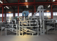 Machine automatique de décorticage et de pelage d'avoine avec moteur, taux de décorticage élevé 98-99%, capacité 200 kg/h, TFYM-1000