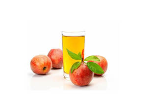 Acidez Total 5%, Ácido Acético 8%, Vinagre de Sidra de Manzana en Polvo 10% - Product Image 2