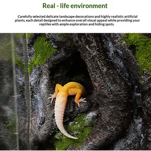 ตู้เลี้ยงสัตว์เลื้อยคลานแบบเปิดด้านหน้ากระจกเต็มบาน ขนาด 8x8x12.8 นิ้ว พร้อมฉากหลัง 3 มิติ สำหรับสัตว์เลื้อยคลานและสัตว์ครึ่งบกครึ่งน้ำ - Product Image 2