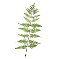 Grandes plantes artificielles de fougères pour mariages en intérieur et aménagement paysager domestique – Verdure de fougères écologique style forêt
