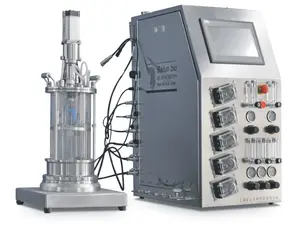 典型的商用玻璃生物反应器机械藻类立式发酵罐，总体积为3.6L，用于培养Micr