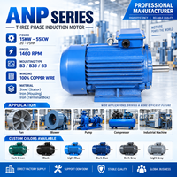 Moteur à induction triphasé série ANP 15 kW 18,5 kW 22 kW pour pompe, ventilateur, souffleur, compresseur, machine industrielle