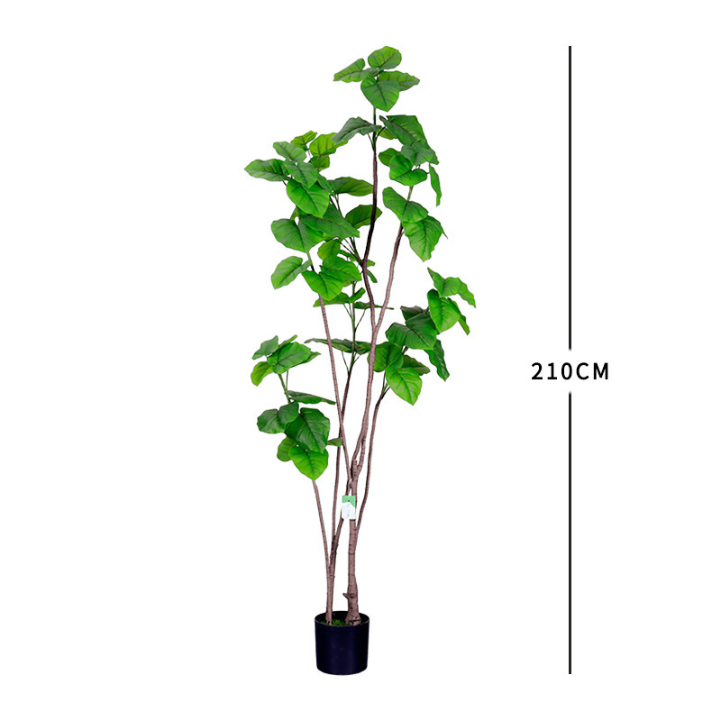 ใบหัวใจ ไทรใบสปริง สีเขียว-210ซม