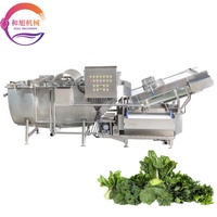 Hexu Aanpasbare Multifunctionele Wasautomaat voor Groenten, Fruit, Koffiebonen, Noten, Mais, Granen en Spinazie met Pomp